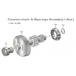 Countershaft & Bearings (Aux.)